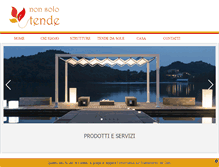 Tablet Screenshot of nstende.com